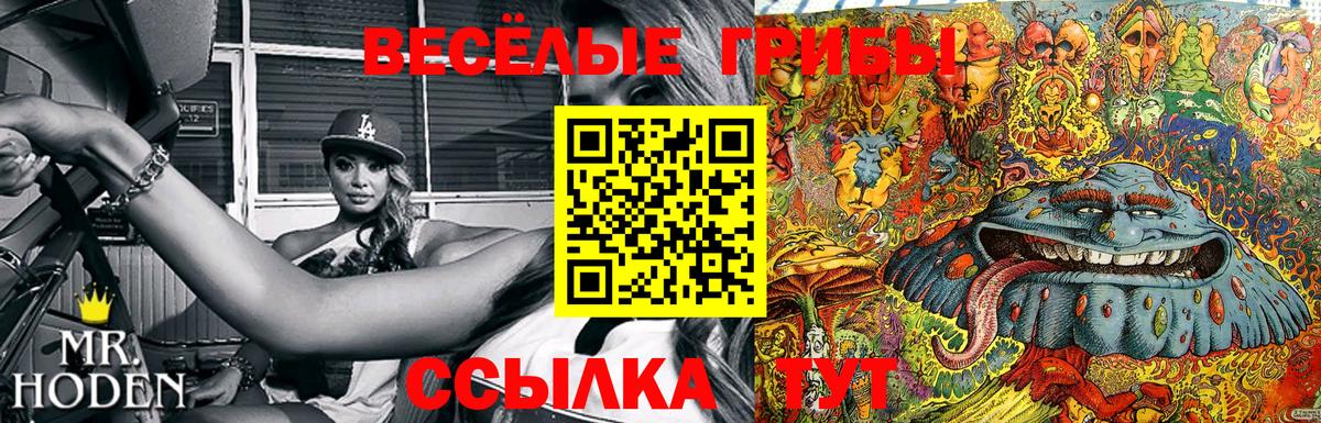Коммунар  Галлюциногенные грибы ЛСД  Вход с VPN 